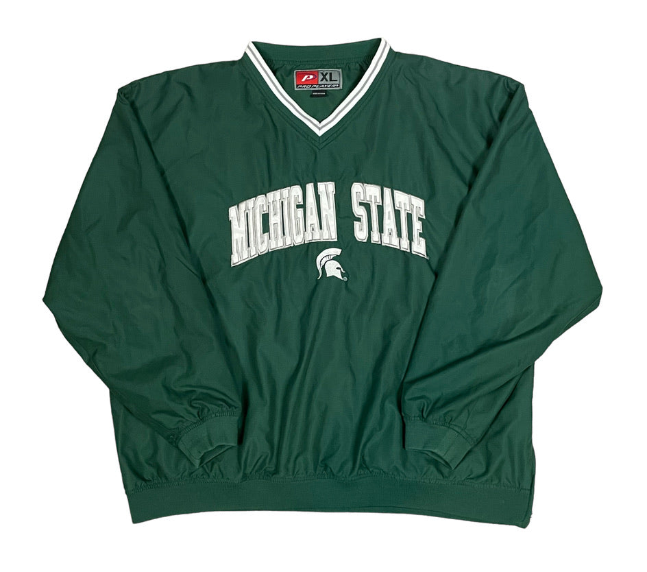michigan state