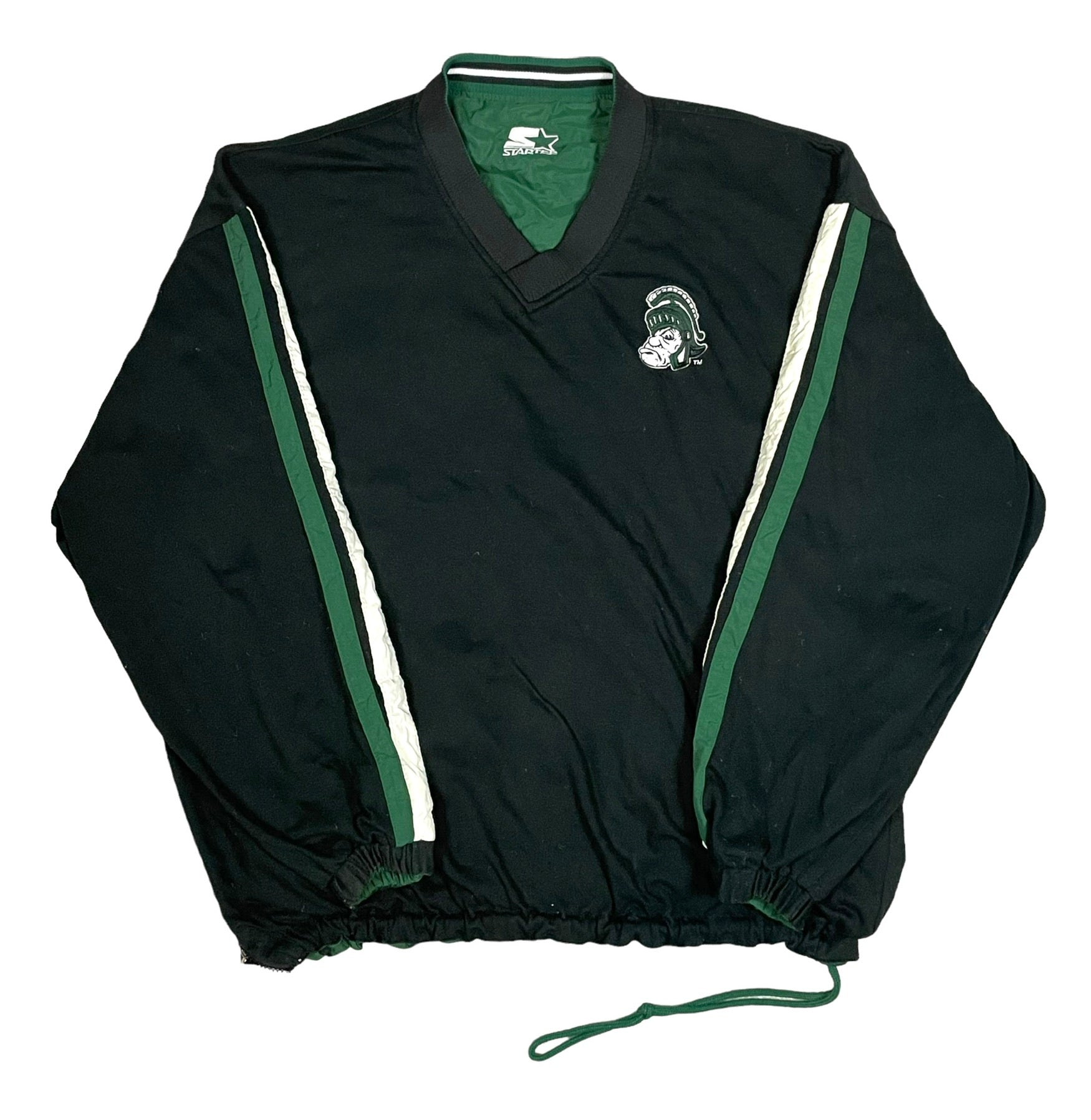 michigan state